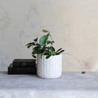 Stoneware Planter with Woven Pattern — detail view