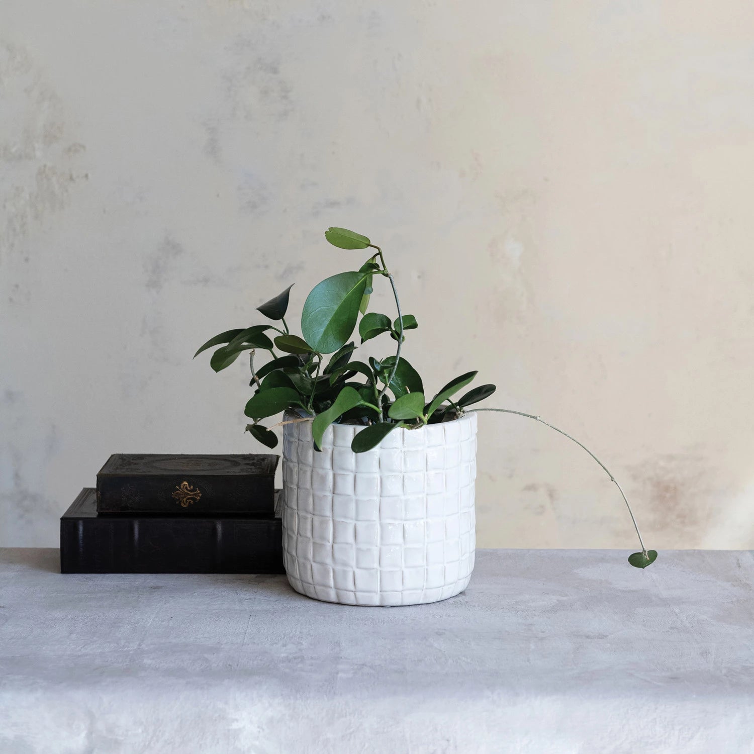 Stoneware Planter with Woven Pattern — detail view