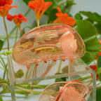 California Poppy Claw - Orange Acetate Flower Hair Clip