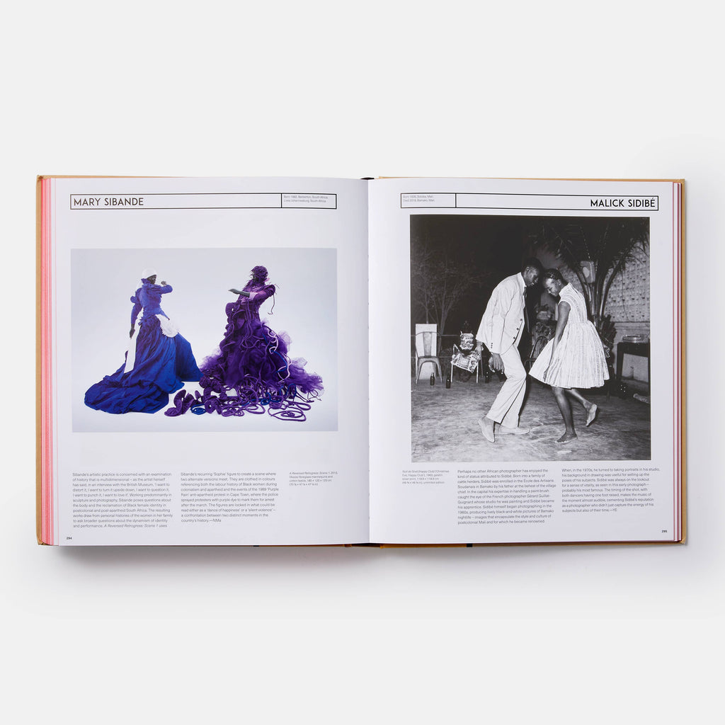 African Artists: From 1882 to Now — view 8